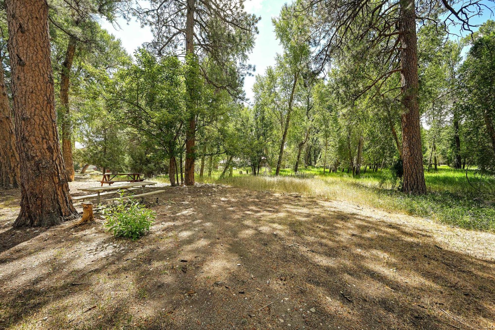 Rustic Cabin Near Downtown Bv And Arkansas River! Буэна-Виста Экстерьер фото